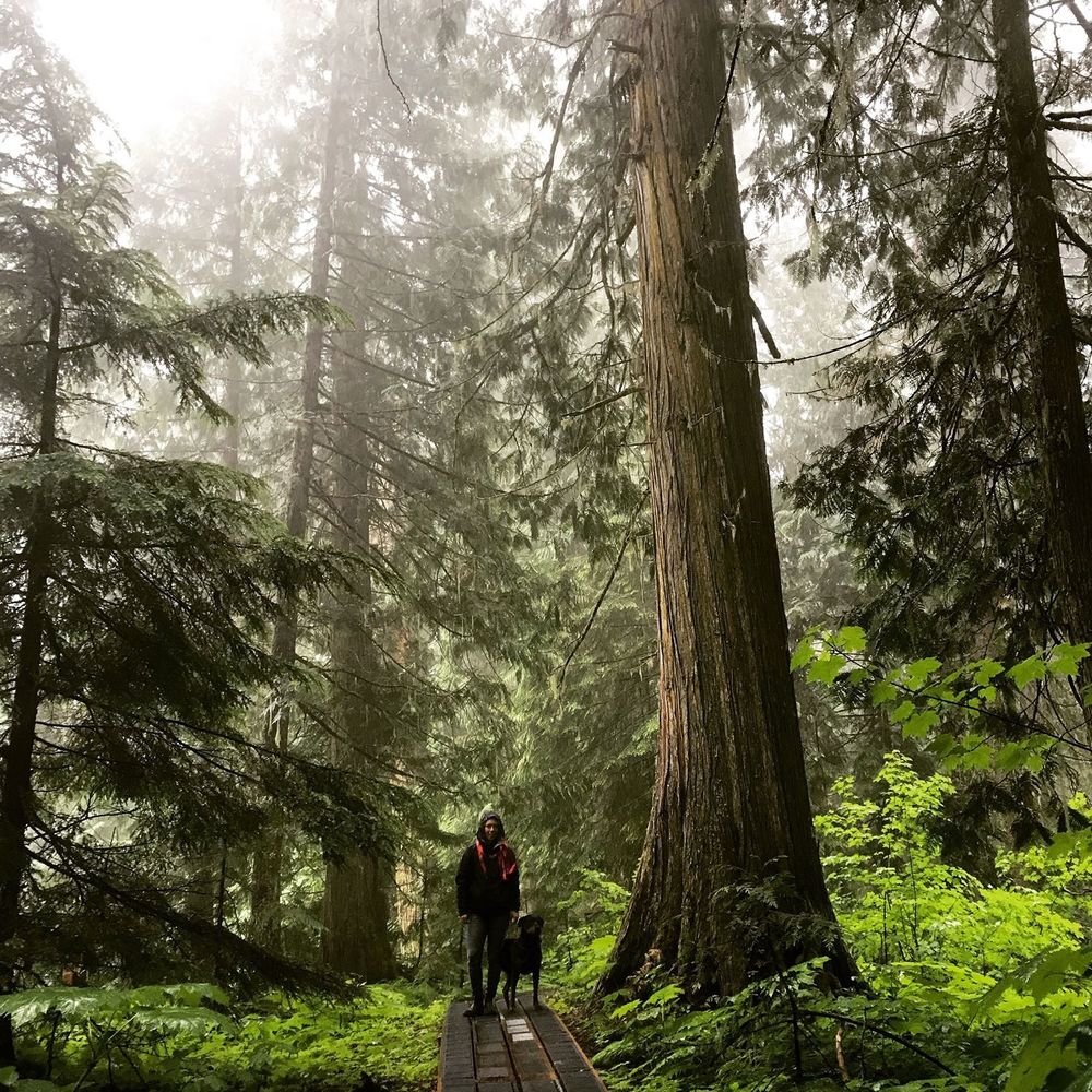 Meet your Posher, Perle